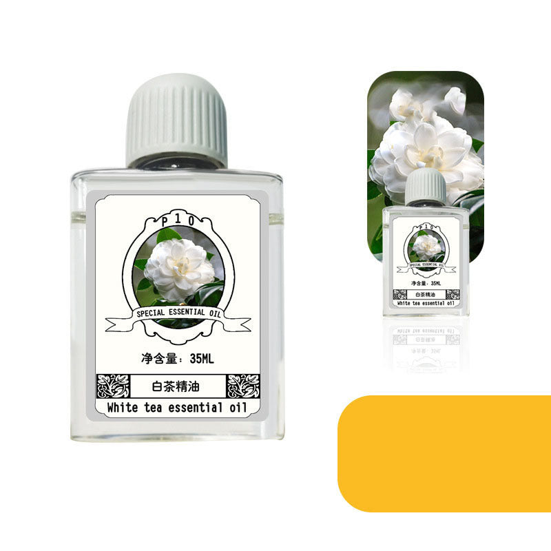 Diffuseur "Brise Silencieuse"