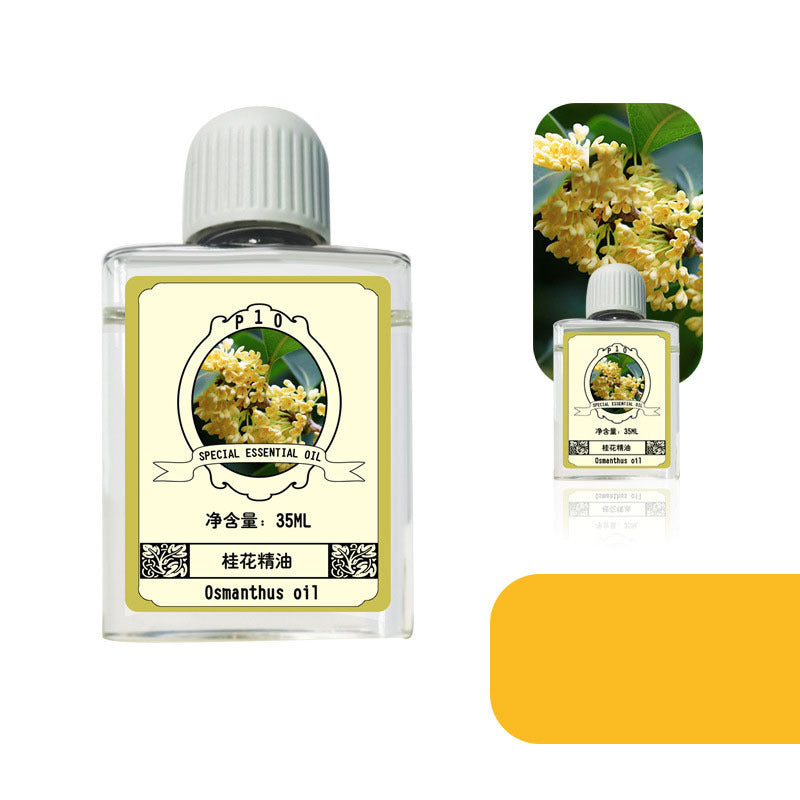 Diffuseur "Brise Silencieuse"